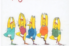 Yoga Hühner
