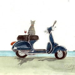 1_Drucke_Vespa_Katze102